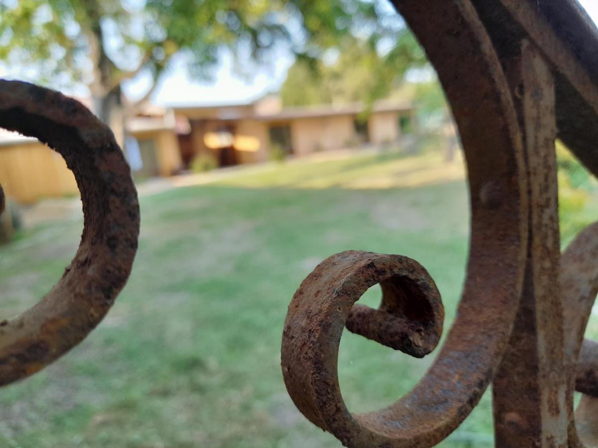 Les Cottages Du Chateau De Werde Matzenheim Ngoại thất bức ảnh