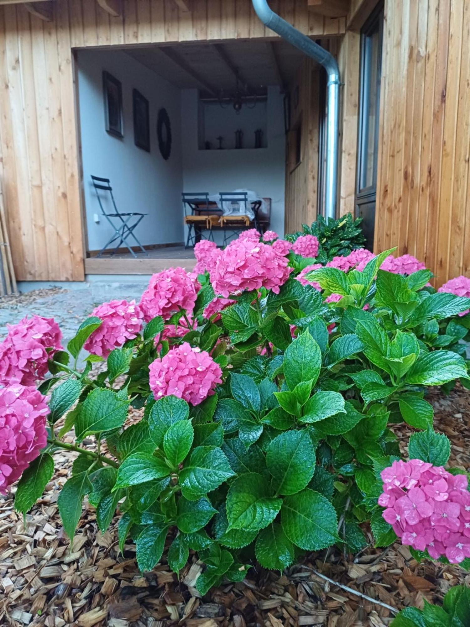 Les Cottages Du Chateau De Werde Matzenheim Ngoại thất bức ảnh